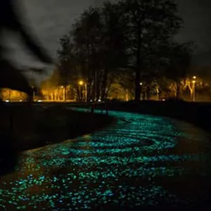 Leuchtender Straßen- und Radweg